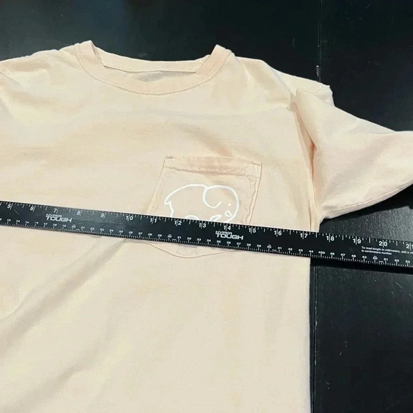 🍀2/$22 Ivory Ella Peach Tropical Pineapple Long Sleeve T-Shirt Womens size Small - Picture 8 of 10